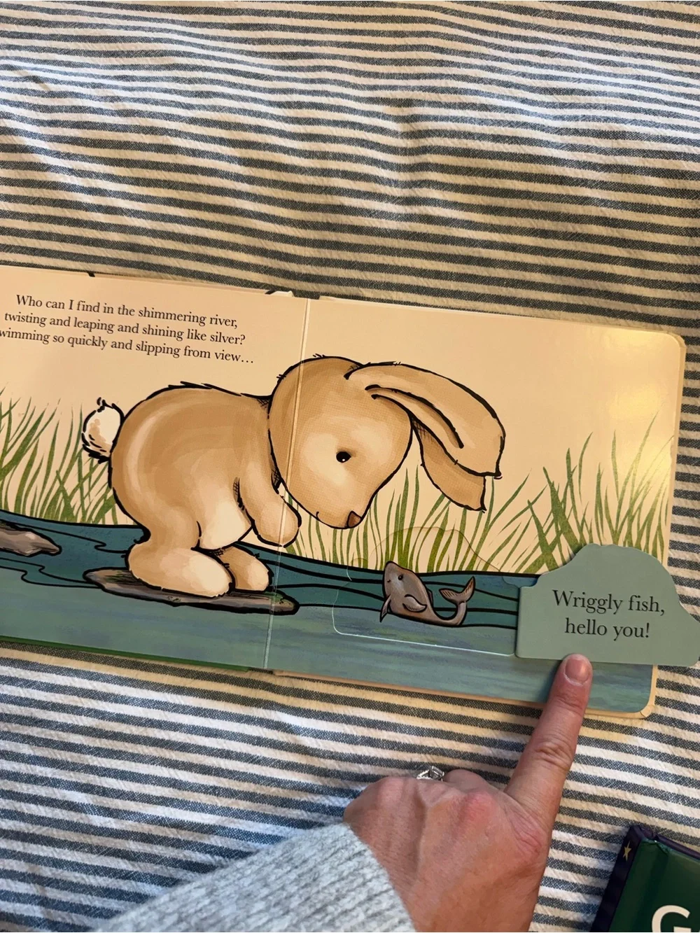 3 board book bundle